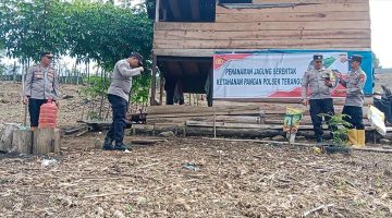 Kapolsek Terangun Bersama Forkopimcam Tripe Jaya Lakukan Pengecekan Lahan Produktif dan Perkarangan Pangan Bergizi